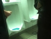 Little do these horny toilet sluts know, they are on a porn hidden cam show.  Where we get to watch them have sex.