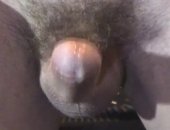 Amateur Hairy Cumshot