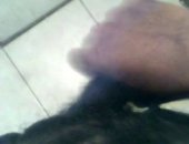 Super Hairy Masturbation