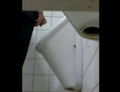 I am a huge voyeur of pissing in toilets.  I set up a sneaky camera to catch all the pissing I could handle.