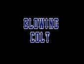 Blowing Colt