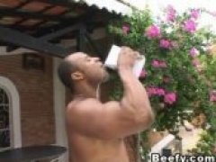 Beefy Fuck Gay