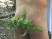 Forrest Nettle Whipping - Part One
